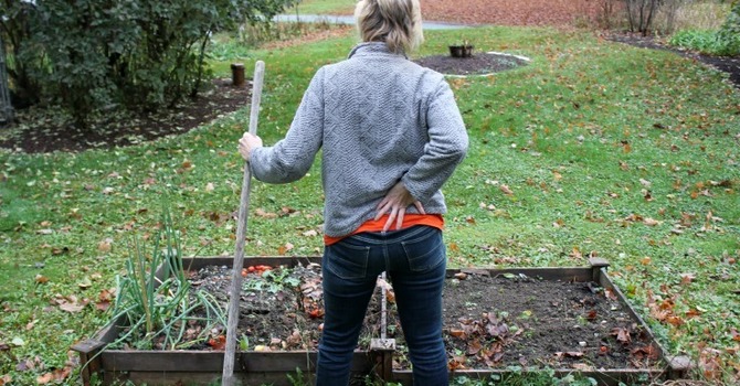 Save your Back While Gardening image